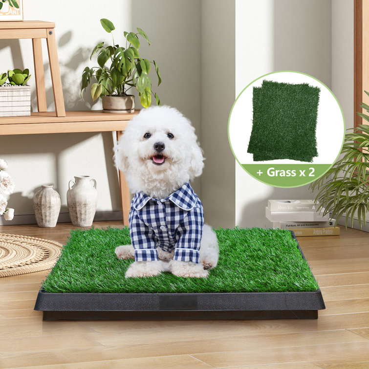 Dog top pee turf